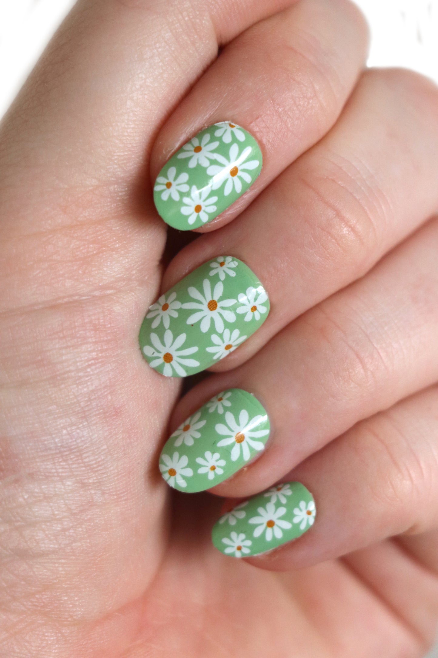 Daisy flower waterslide nail decals