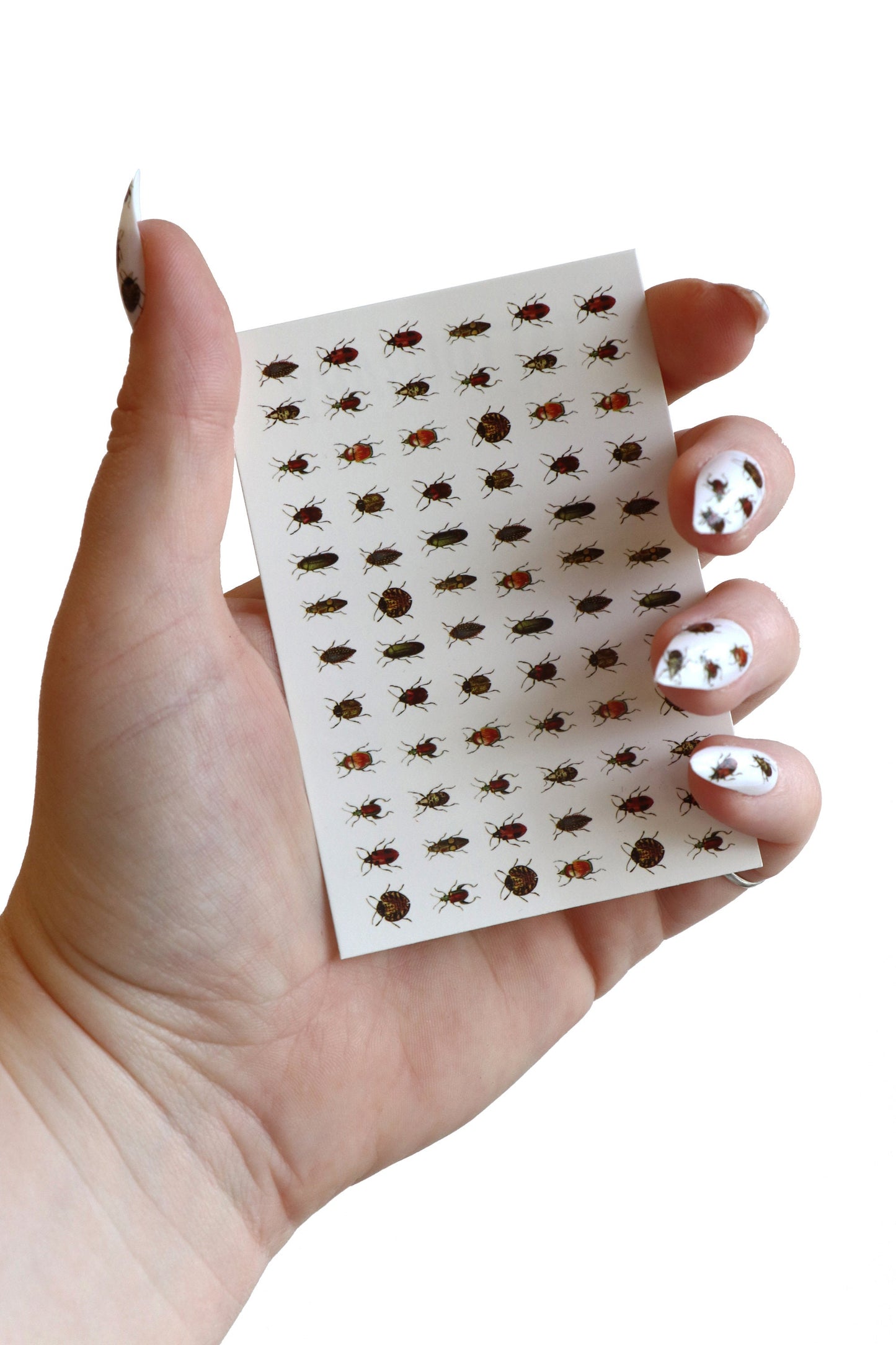 Beetle Nail Decals for DIY nail art