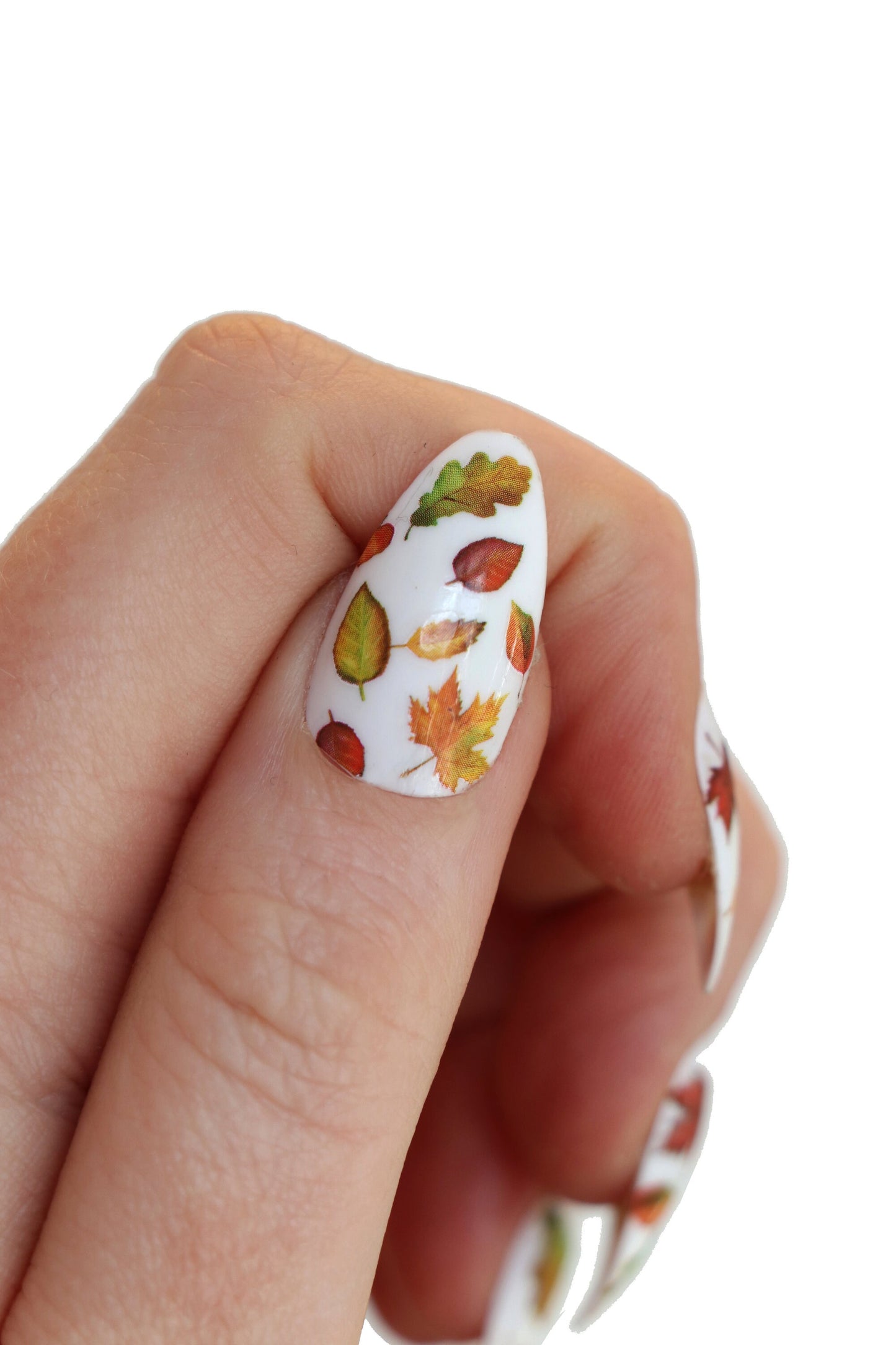 Autumn Leaves Nail Decals