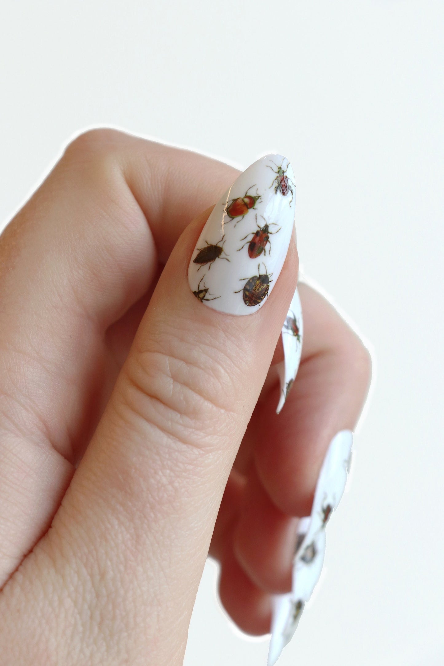 Beetle Waterslide Nail Decals