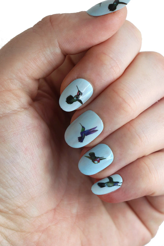 Hummingbird Waterslide Nail Decals